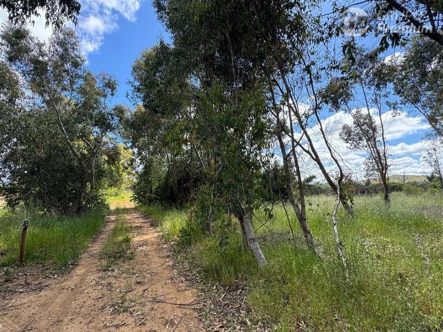 Parcela en Cauquenes