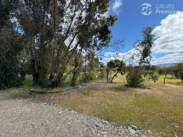 Parcela en Cauquenes