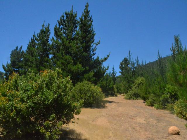 Terreno en venta en Cauquenes, Maule