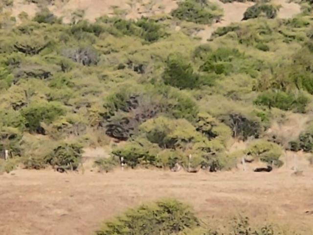 Parcela en Cauquenes