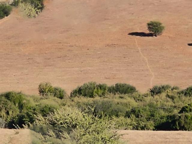 Parcela en Cauquenes