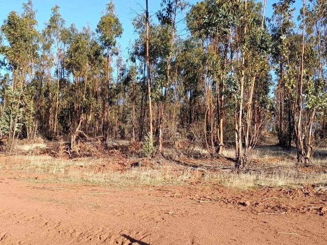 Parcela en Cauquenes