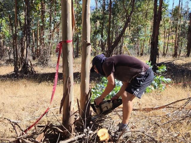 Parcela en Cauquenes
