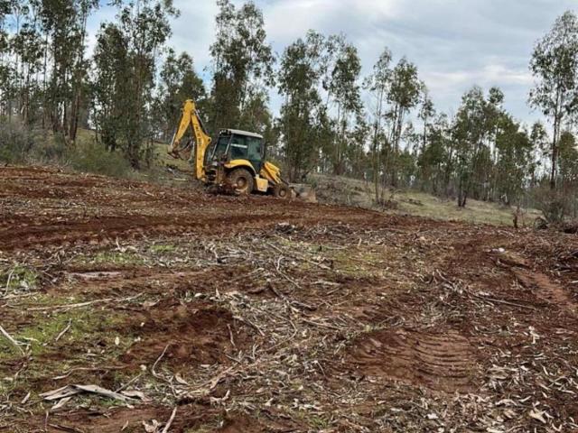 Parcela en Cauquenes