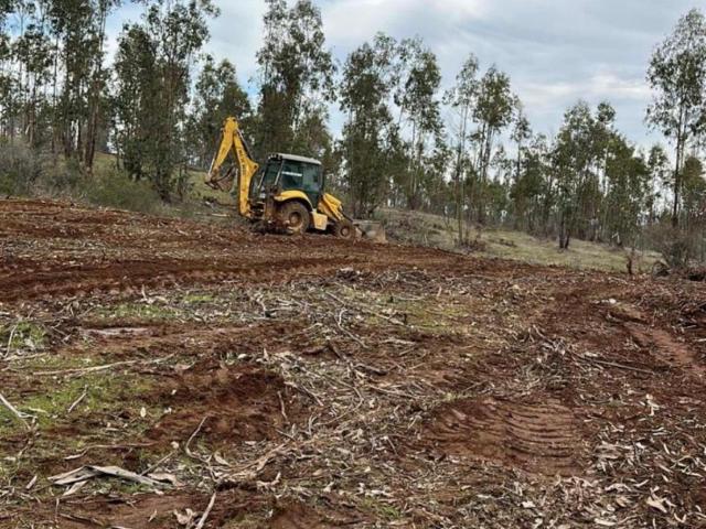 Parcela en Cauquenes