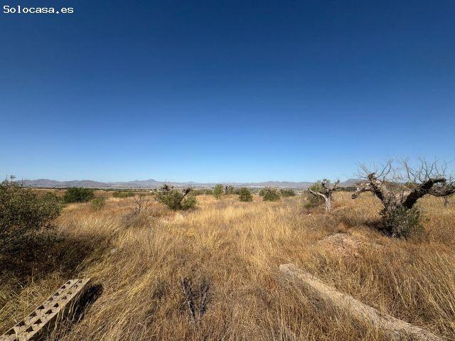 Local Comercial en venta en Casa Palacio, Alto Guadalentín