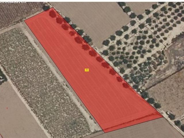 Local Comercial en venta en La Guirreta, Alto Guadalentín