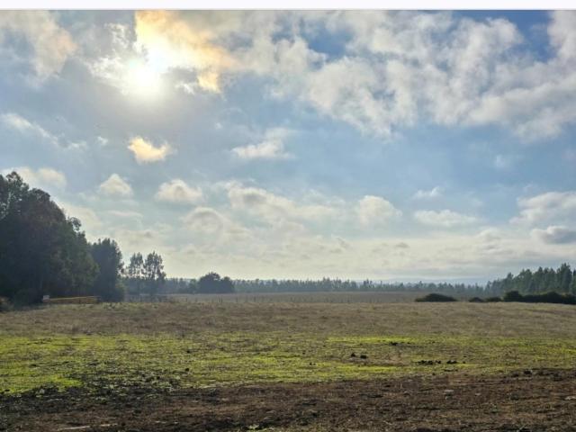 Parcela en Chanco
