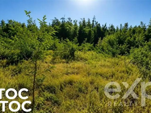 Terreno en venta en Ñuble