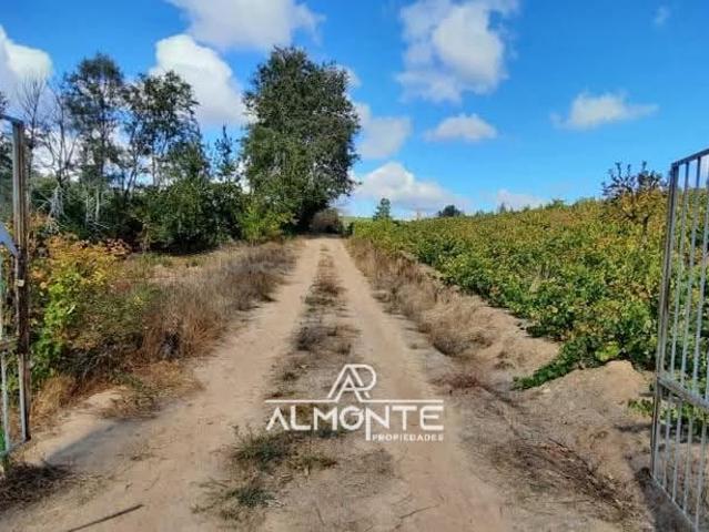 Terreno en venta en Ñuble
