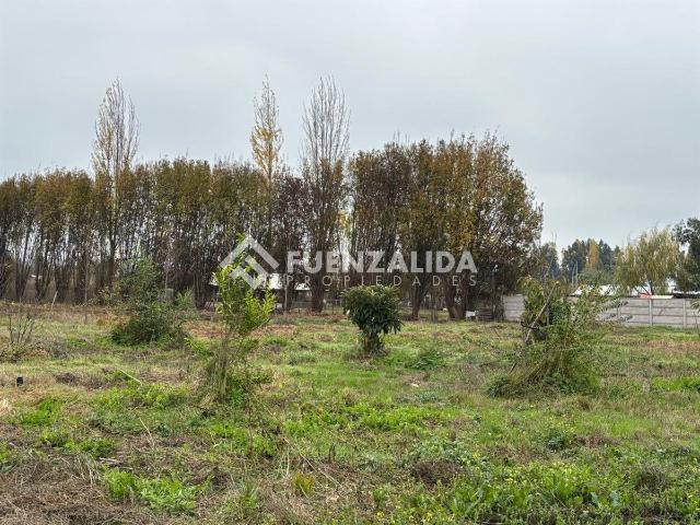 Parcela en Chimbarongo