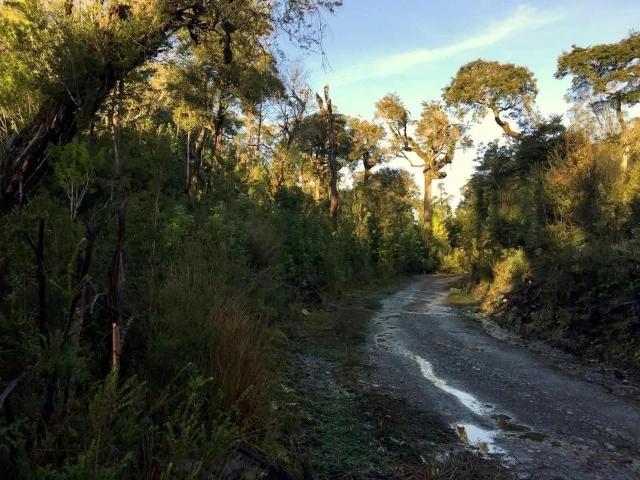Parcela en Chonchi