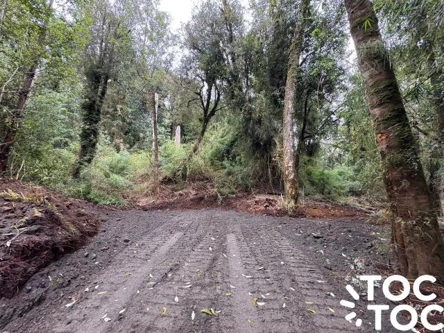 Parcela en Chonchi