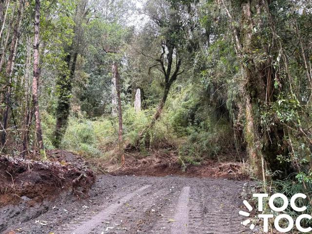 Parcela en Chonchi