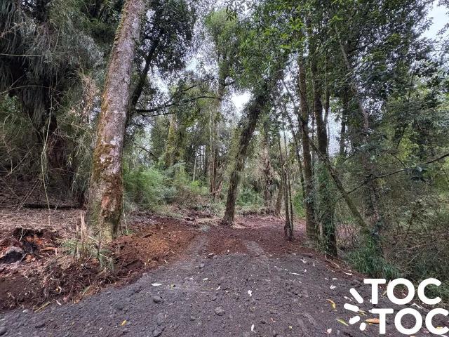 Parcela en Chonchi