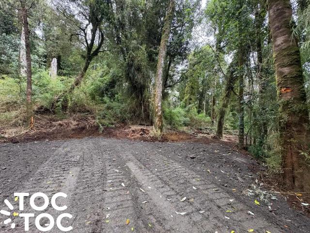 Parcela en Chonchi