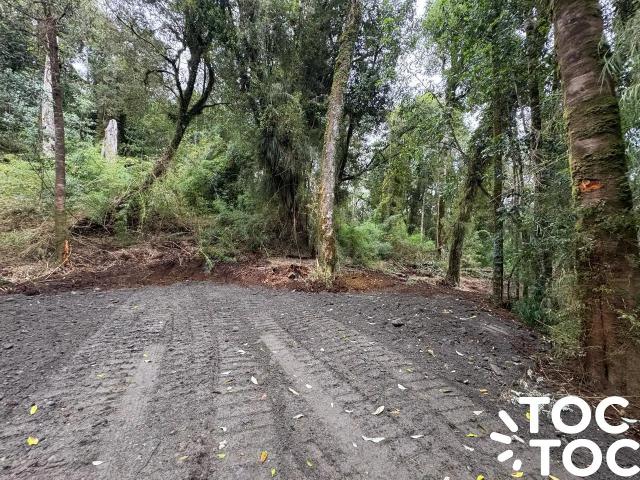 Parcela en Chonchi