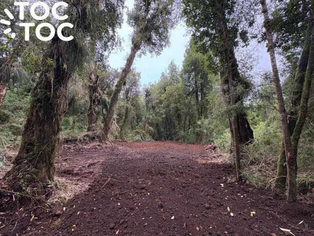 Parcela en Chonchi