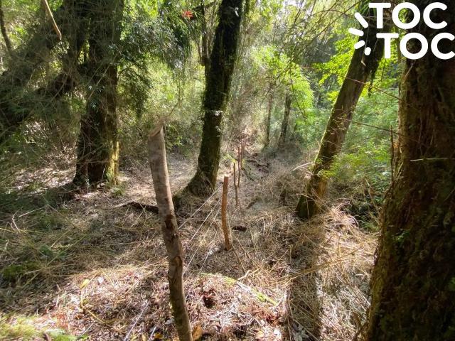 Parcela en Chonchi
