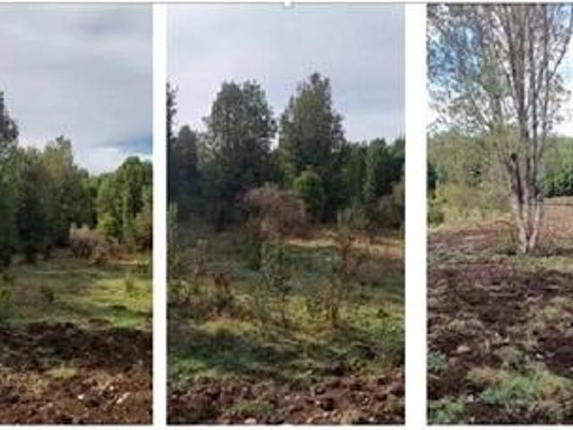 Parcela en Chonchi