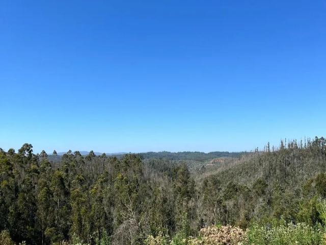 Terreno en venta en Concepción, Biobío