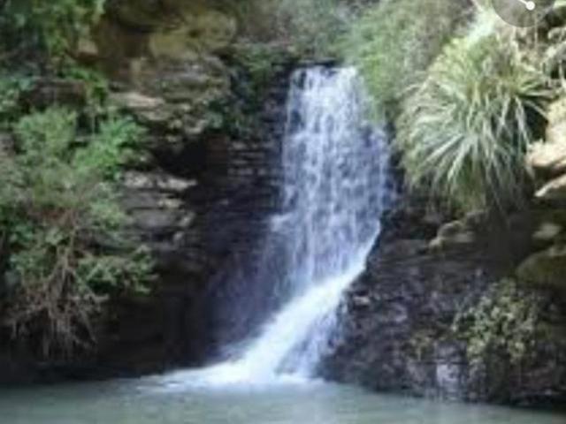 Parcela en Constitución