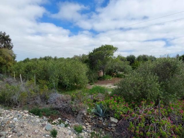 Terreno en venta en La Higuera, Coquimbo