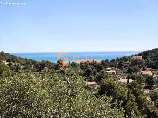 Local Comercial en venta en Baix Penedès, Catalunya