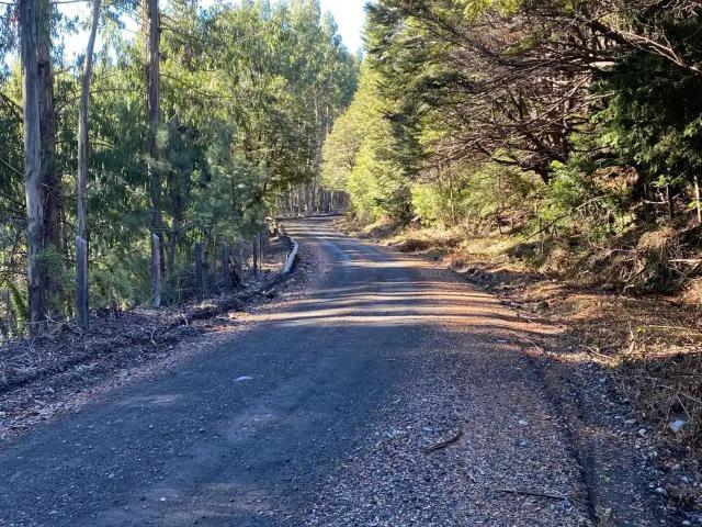 Terreno en venta en Cunco, La Araucanía
