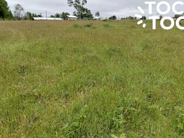 Terreno en venta en Cunco, La Araucanía
