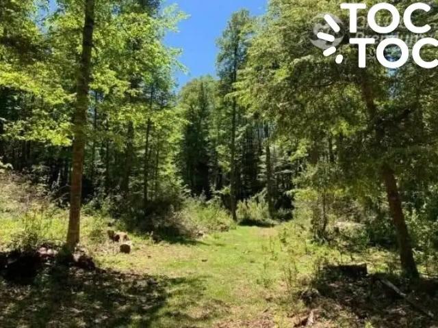 Terreno en venta en Curarrehue, Provincia de Cautín