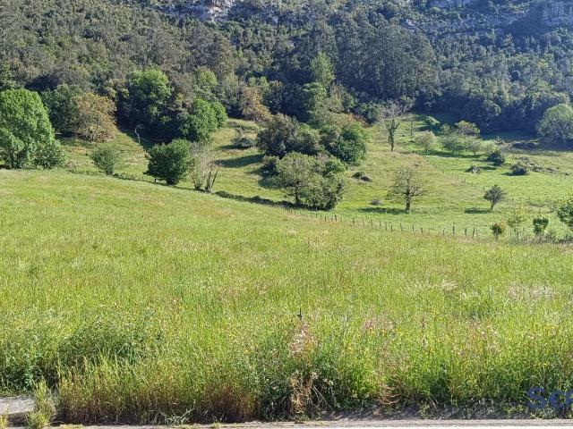 Terreno en venta en Nates, Voto