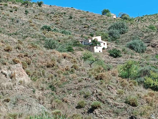 Terreno en venta en El Borge