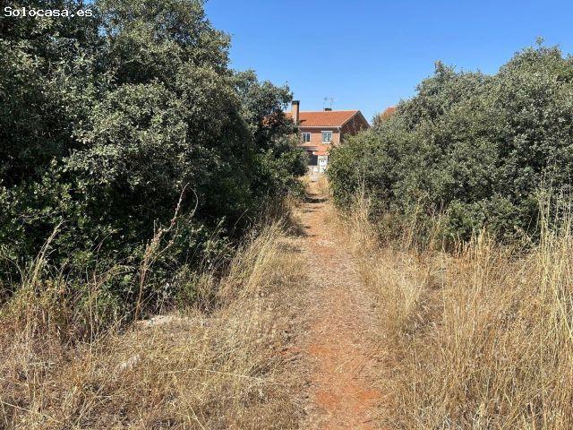 Local Comercial en venta en El Chaparral, Pioz