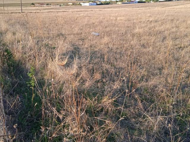 Terreno en venta en Cáceres - Sierra de Montánchez, Extremadura