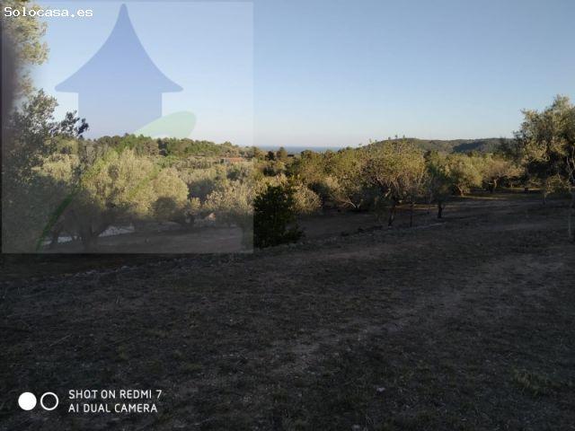 Local Comercial en venta en Baix Ebre, Catalunya