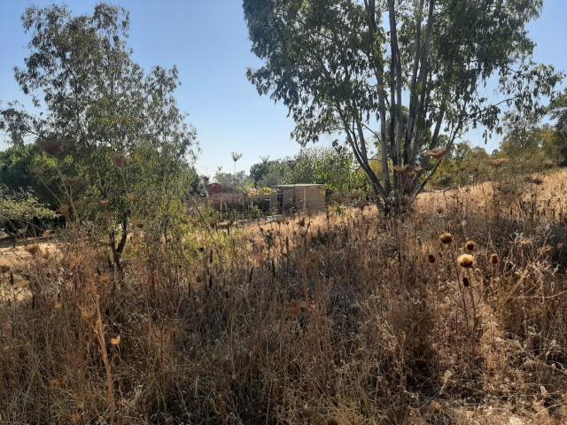 Terreno en venta en Margallo, Cáceres