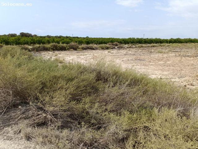 Local Comercial en venta en la Marina, el Baix Vinalopó