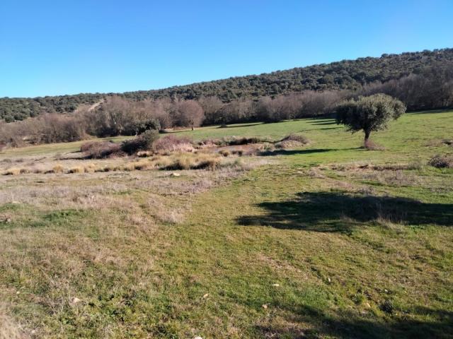 Terreno en venta en Encina De San Silvestre