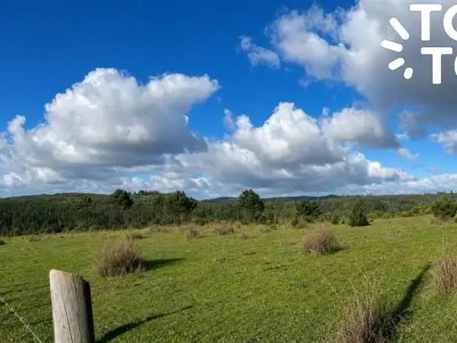Terreno en venta en Florida, Biobío