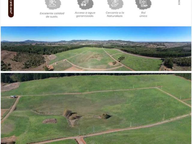 Terreno en venta en Florida, Biobío