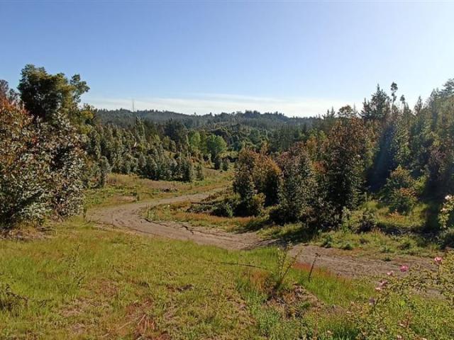 Terreno en venta en Florida, Biobío