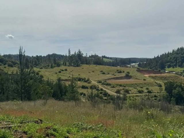 Terreno en venta en Florida, Biobío
