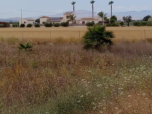 Terreno en venta en Formentera Del Segura