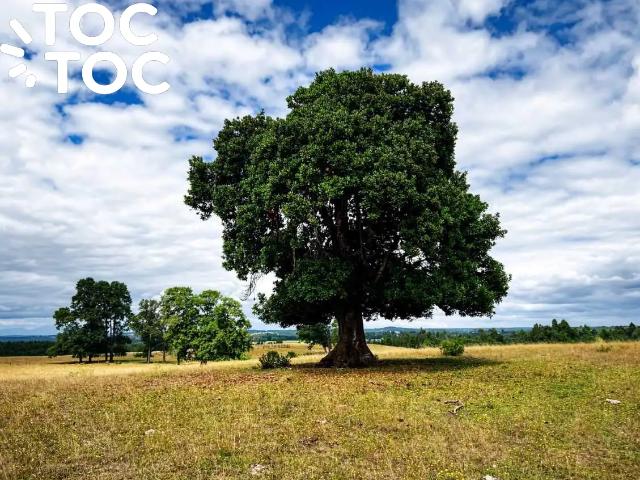 Terreno en venta en Fresia, Los Lagos