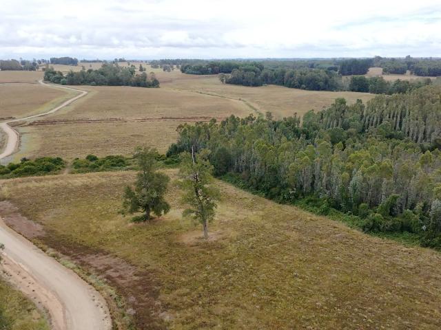 Terreno en venta en Frutillar, Los Lagos