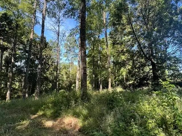 Terreno en venta en Frutillar, Los Lagos