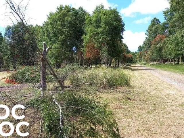 Terreno en venta en Futrono, Los Ríos