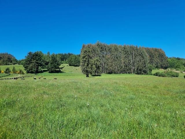 Terreno en venta en Futrono, Los Ríos