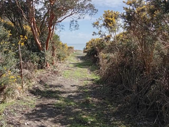 Terreno en venta en Cubero, Hualaihué